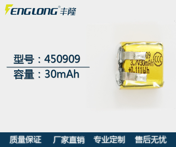 FL 450909